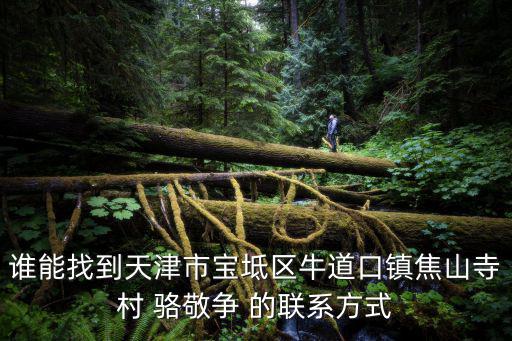 誰能找到天津市寶坻區牛道口鎮焦山寺村 駱敬爭 的聯系方式