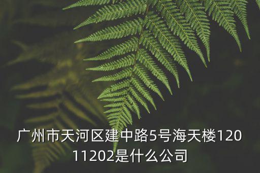 廣州市天河區(qū)建中路5號海天樓12011202是什么公司