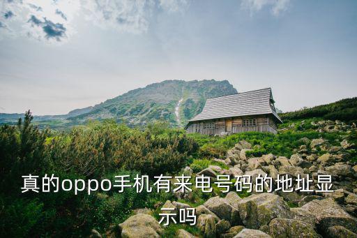 真的oppo手機有來電號碼的地址顯示嗎