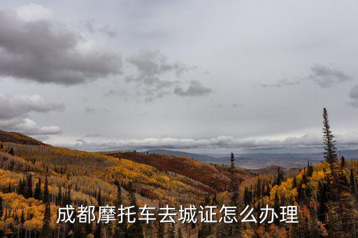 成都摩托車去城證怎么辦理