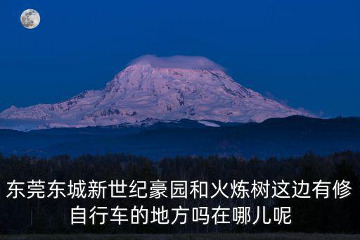 東莞東城新世紀豪園和火煉樹這邊有修自行車的地方嗎在哪兒呢