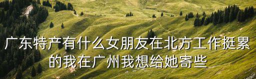 廣東特產有什么女朋友在北方工作挺累的我在廣州我想給她寄些