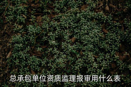 總承包單位資質監理報審用什么表