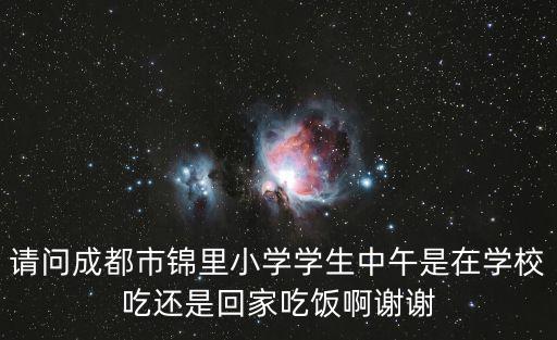 請問成都市錦里小學學生中午是在學校吃還是回家吃飯啊謝謝
