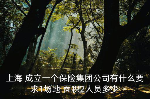 上海 成立一個保險集團公司有什么要求1場地 面積2人員多少