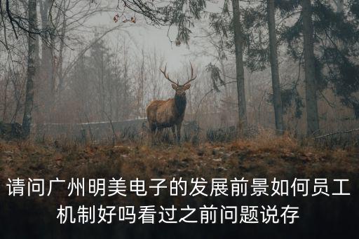廣州明美電子有限公司待遇，請問廣州明美電子的發展前景如何員工機制好嗎看過之前問題說存