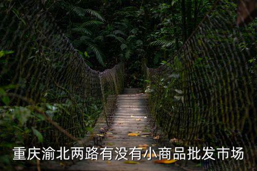 重慶渝北兩路有沒有小商品批發市場