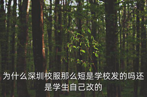 深圳短校服，深圳校服冬165會短么