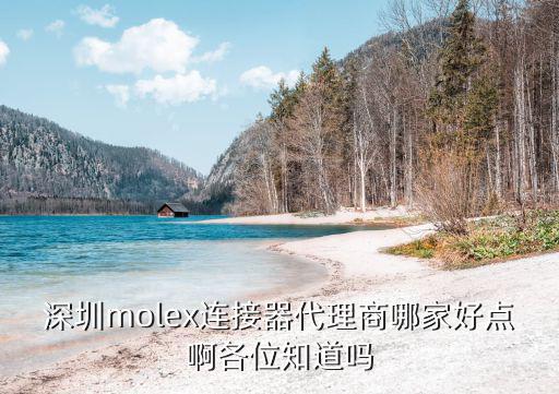 深圳molex連接器代理商哪家好點(diǎn)啊各位知道嗎