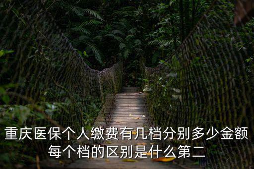 重慶醫保個人繳費有幾檔分別多少金額每個檔的區別是什么第二
