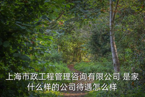 上海市政工程管理咨詢有限公司 是家什么樣的公司待遇怎么樣