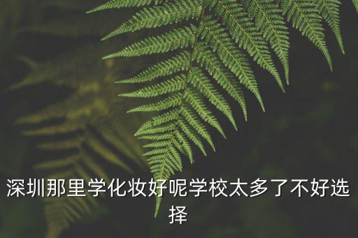 深圳那里學化妝好呢學校太多了不好選擇
