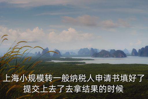 上海小規模轉一般納稅人申請書填好了提交上去了去拿結果的時候