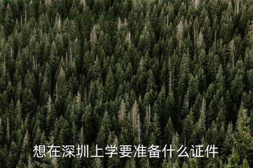 想在深圳上學要準備什么證件
