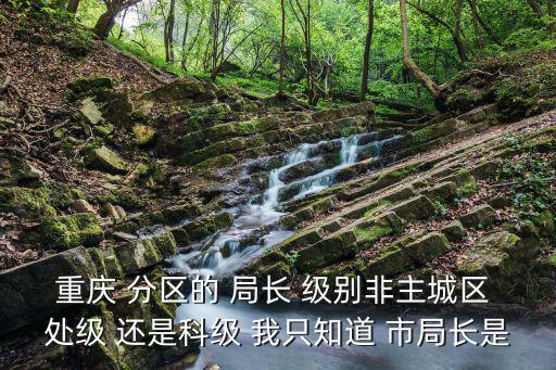 重慶 分區的 局長 級別非主城區 處級 還是科級 我只知道 市局長是