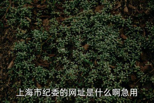 上海市紀委的網址是什么啊急用