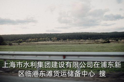 上海市水利集團建設有限公司在浦東新區臨港東灘貨運儲備中心  搜