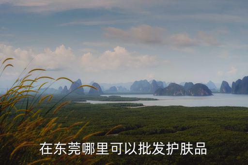 在東莞哪里可以批發護膚品