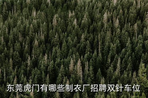 東莞虎門針織廠招聘，東莞虎門有招針織廠招看電腦橫機(jī)的嗎