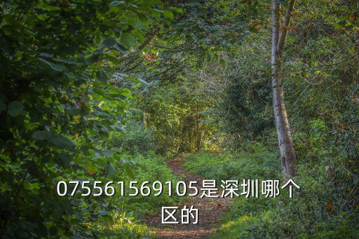 深圳安宏運，深圳一個叫孫大兵 孫生這個人 他是賣手機的 他是個大騙子 專用山寨機
