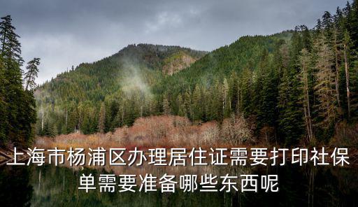 上海市楊浦區辦理居住證需要打印社保單需要準備哪些東西呢