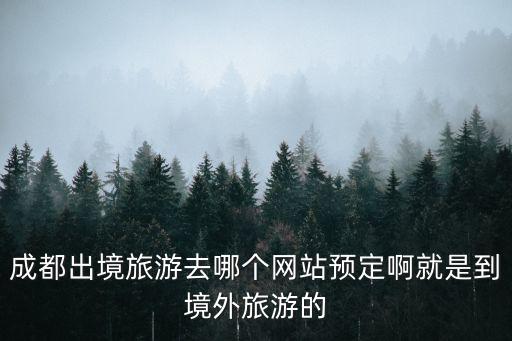 成都出境旅游去哪個(gè)網(wǎng)站預(yù)定啊就是到境外旅游的