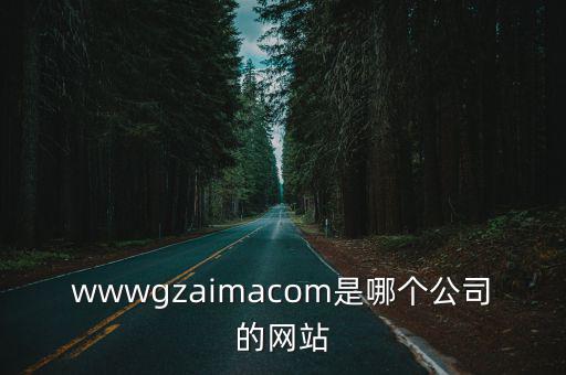 廣州唯思軟件股份有限公司官網(wǎng)，廣州市天河區(qū)建中路5號海天樓12011202是什么公司