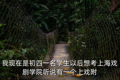我現在是初四一名學生以后想考上海戲劇學院聽說有一個上戲附