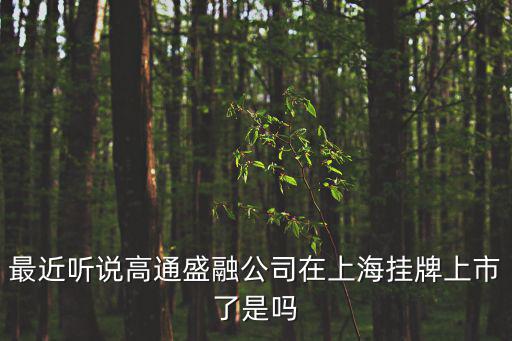 最近聽說高通盛融公司在上海掛牌上市了是嗎