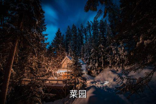深圳菜園，深圳哪里是最大的蔬菜批發(fā)市場