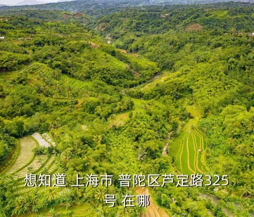 想知道 上海市 普陀區蘆定路325號 在哪