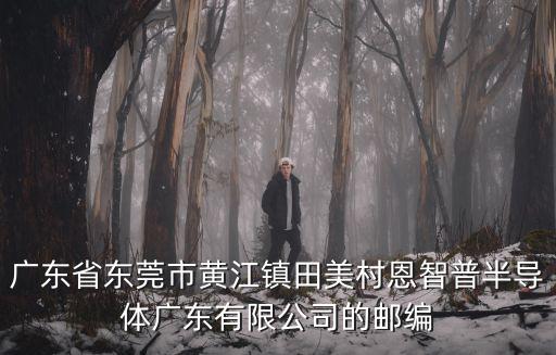 廣東省東莞市黃江鎮(zhèn)田美村恩智普半導(dǎo)體廣東有限公司的郵編