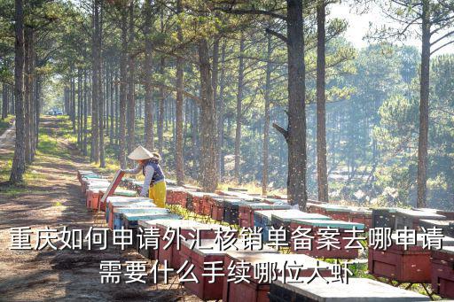 重慶如何申請外匯核銷單備案去哪申請需要什么手續哪位大蝦