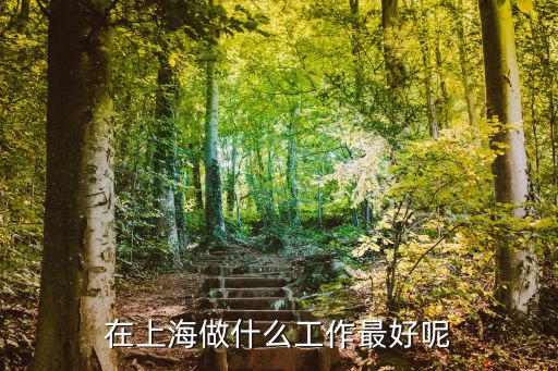 在上海做什么工作最好呢