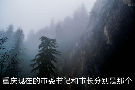 重慶現(xiàn)在的市委書(shū)記和市長(zhǎng)分別是那個(gè)