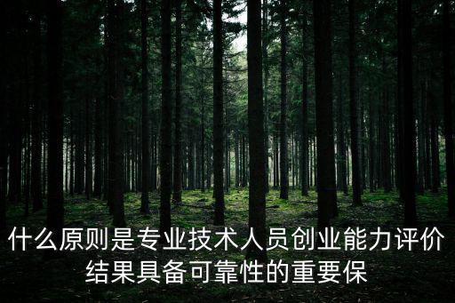 什么原則是專業技術人員創業能力評價結果具備可靠性的重要保