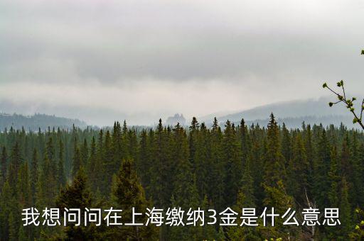 我想問問在上海繳納3金是什么意思
