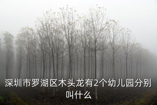 深圳市羅湖區木頭龍有2個幼兒園分別叫什么