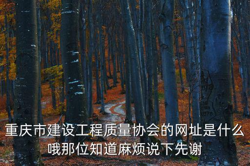 重慶市質量協會官網，重慶市質量技術監督局經濟技術開發區分局詳細地址