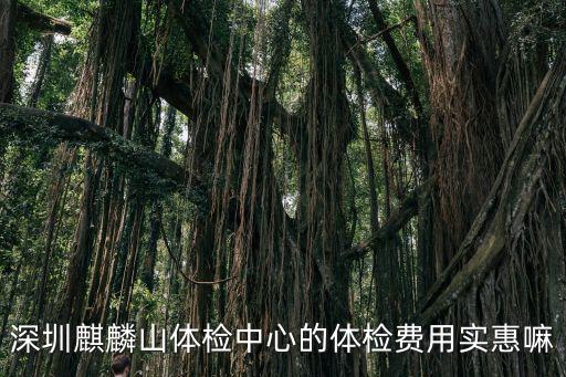 深圳麒麟山體檢中心的體檢費用實惠嘛