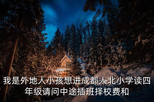 我是外地人小孩想進成都人北小學讀四年級請問中途插班擇校費和