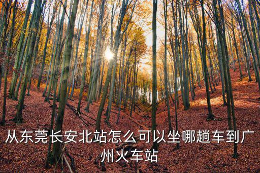 從東莞長安北站怎么可以坐哪趟車到廣州火車站