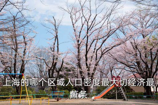 上海的哪個(gè)區(qū)域人口密度最大切經(jīng)濟(jì)最蕭條