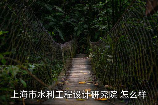 上海市水利工程設(shè)計(jì)研究院 怎么樣