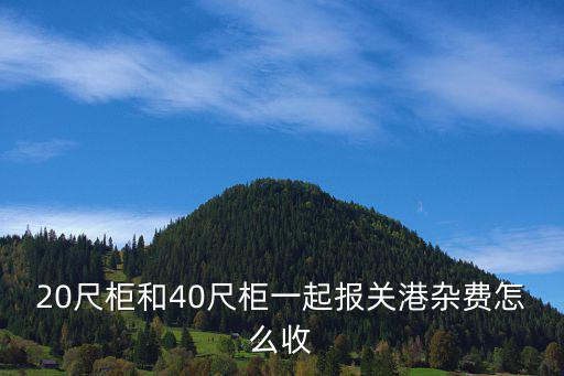 20尺柜和40尺柜一起報關港雜費怎么收