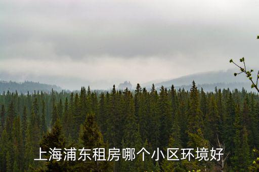 上海浦東租房哪個小區環境好