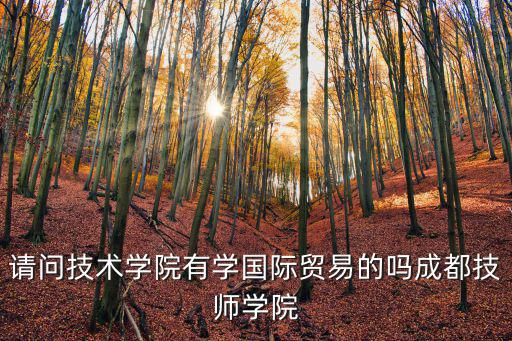 請問技術學院有學國際貿易的嗎成都技師學院
