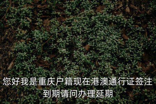 您好我是重慶戶籍現在港澳通行證簽注到期請問辦理延期