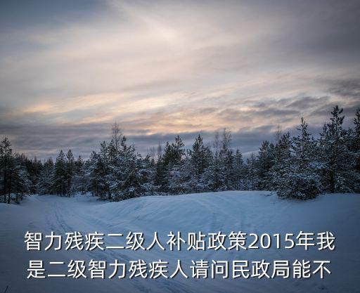 智力殘疾二級人補(bǔ)貼政策2015年我是二級智力殘疾人請問民政局能不