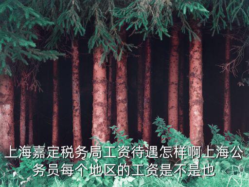 上海嘉定稅務(wù)局工資待遇怎樣啊上海公務(wù)員每個地區(qū)的工資是不是也
